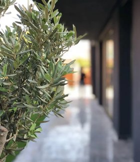 Villa Lamen No:15 - 38